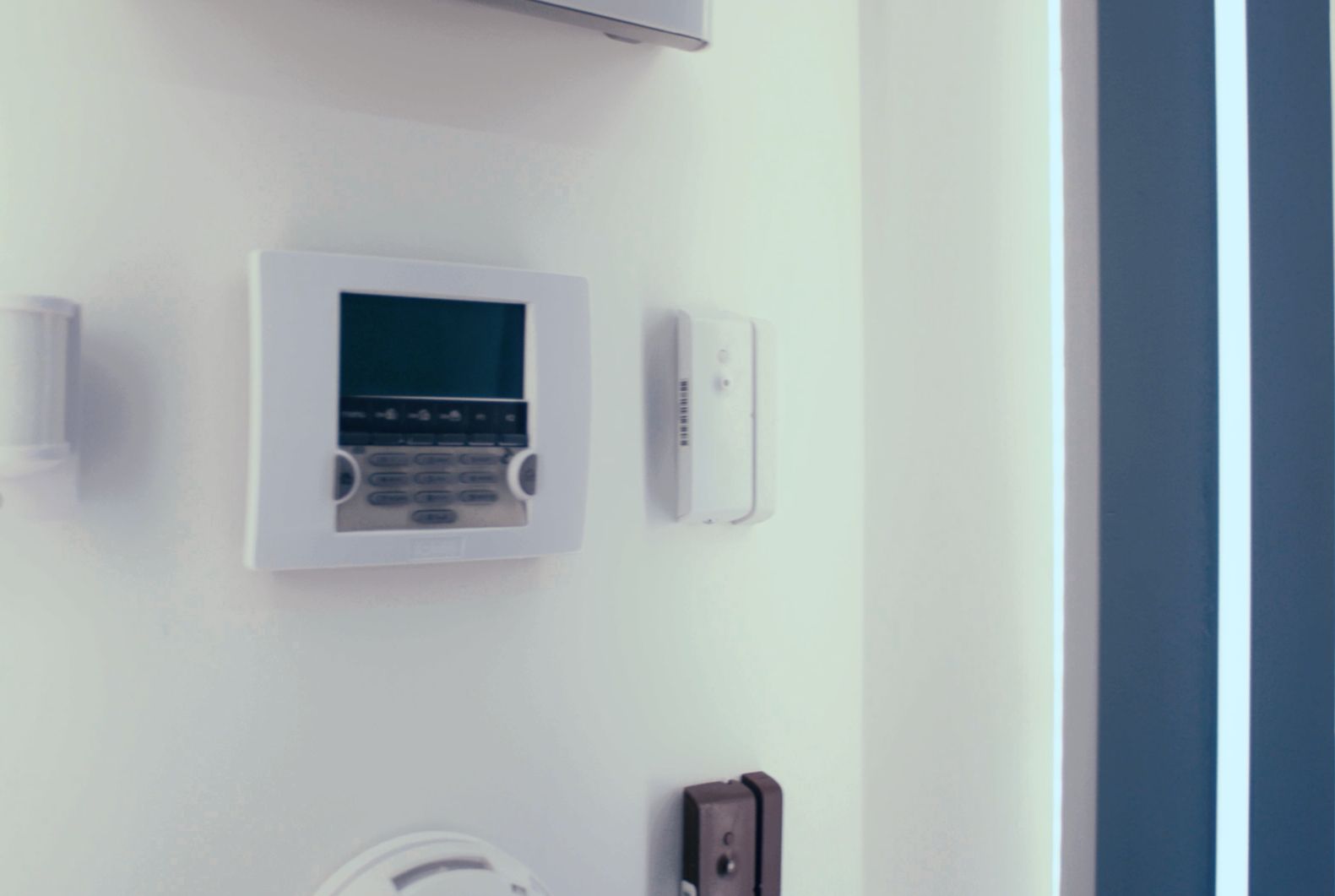 IBS Showroom Systems